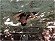 Schne Aussicht 1999, schne Aussicht 8-